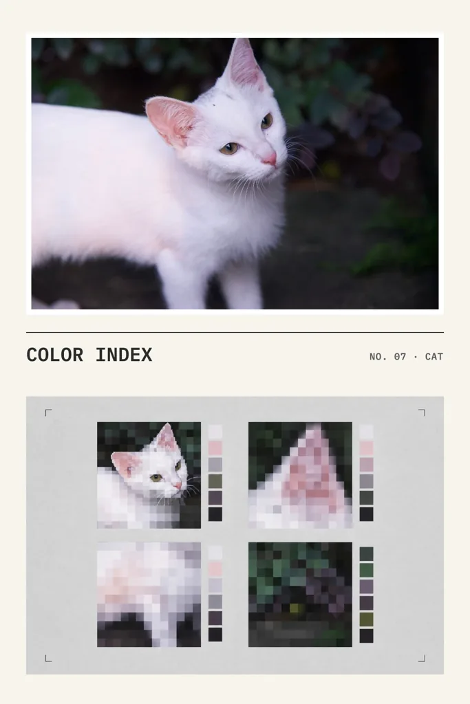 Color index example 1: the result (Light grey · Coarse · COLOR INDEX / NO. 07 · CAT)