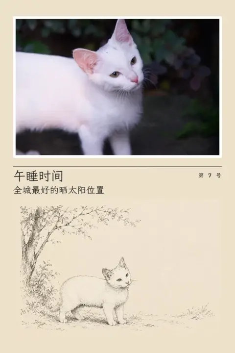 Photo journal page example 2: the result (Cream · Minimal ink · 午睡时间 / 全城最好的晒太阳位置 / 第 7 号)