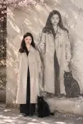 雨天狗狗素描牆示例 2：生成效果